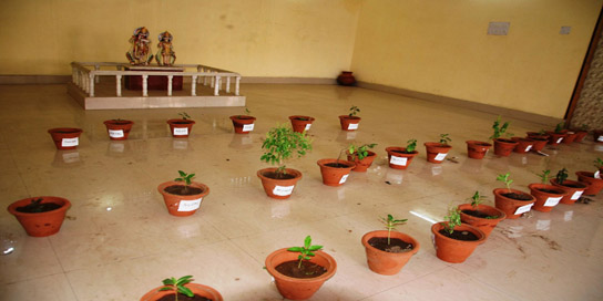 Environment Day3